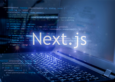 Next.js Development​